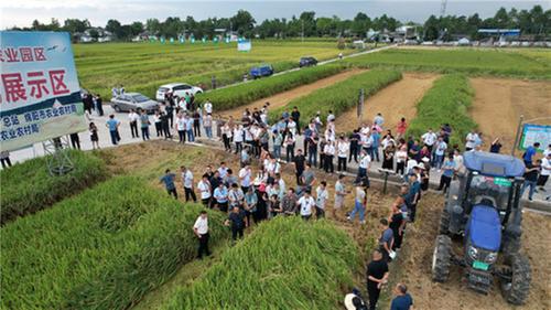 安州区开展2023全国科普日农技专家送技术下乡活动