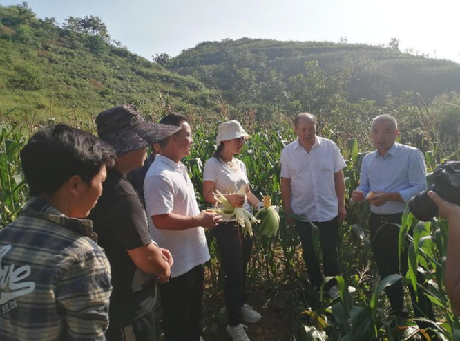 四川农业大学闫艳红教授一行赴雷波县开展畜牧产业技术指导
