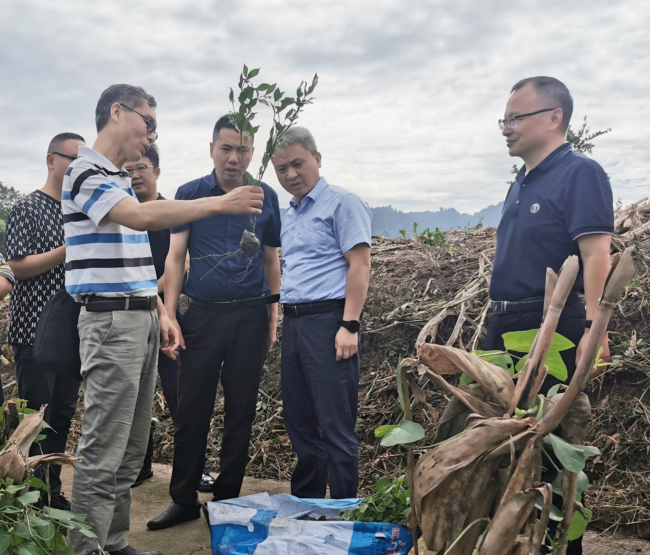 “科服保姆”助力名山区茶产业发展