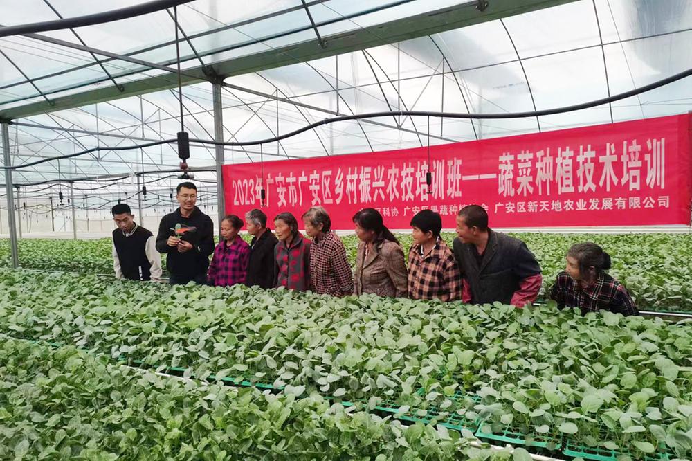 广安区开展蔬菜种植技术培训活动