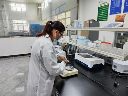 丹棱县：筑牢食用农产品风险监测防线，确保“菜篮子”安全