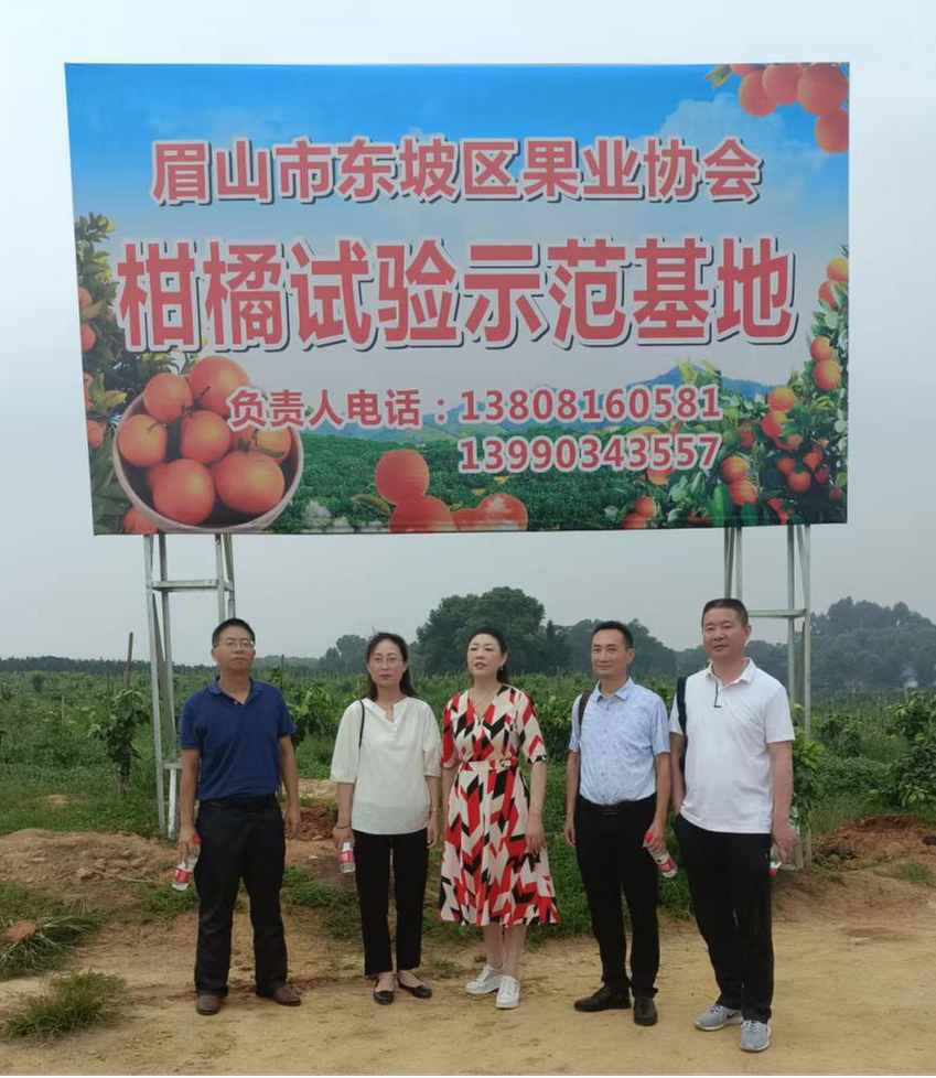 眉山市、东坡区科协联合开展走基层调研活动