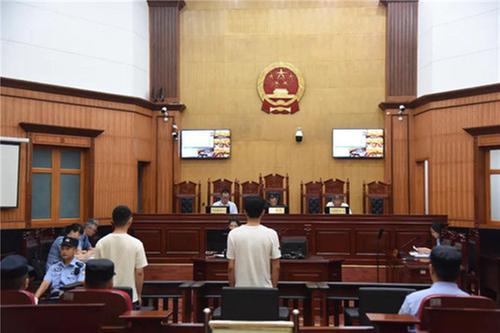 以案说法|用尽心思薅羊毛？劝你莫动歪心思