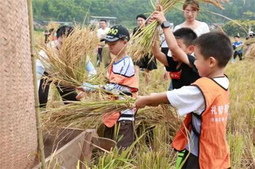 乐山市市中区第二届农民丰收节欢乐开幕