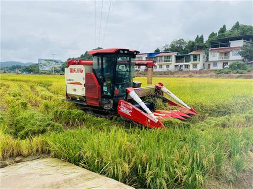 简阳市“五良”融合发展 为农业现代化插上腾飞的翅膀