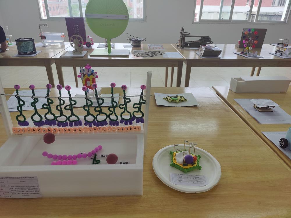 前锋区举办第十届青少年科技创新大赛