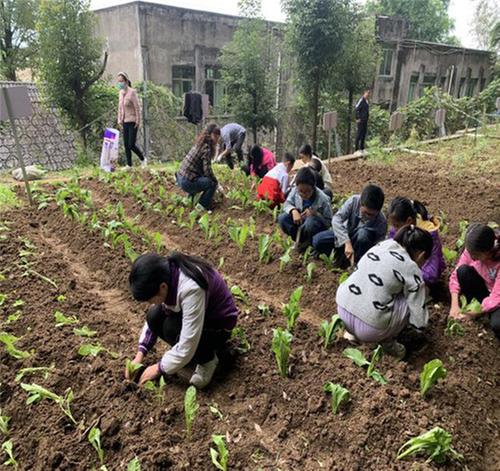 南江县高塔镇金盆小学：让乡土文化教育融入课堂