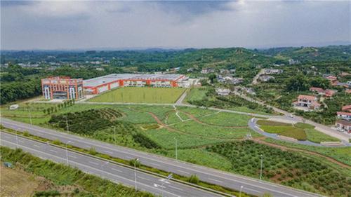 “橘”富一方，青神县柑橘产业提升乡村发展内生动力