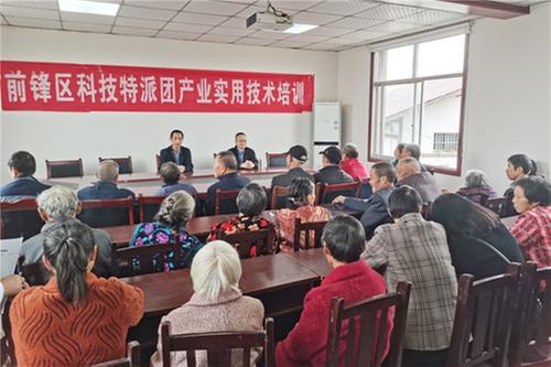 前锋区：小春生产正当时 科技特派巧帮忙