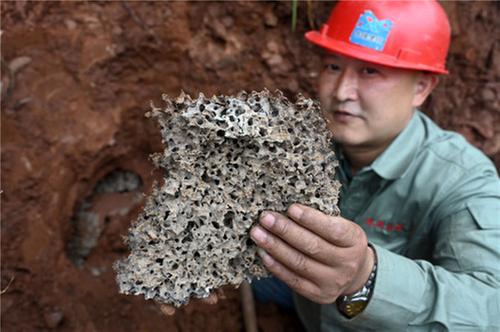 内江市：“围剿”白蚁保堤坝