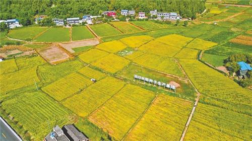 守好农业基底 建树产业标杆