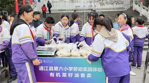 通江六小开展学生劳动成果义卖活动