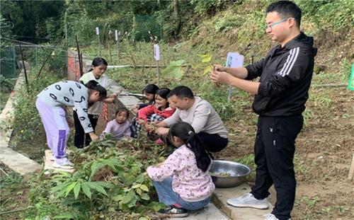 金盆小学：把乡土教育课堂搬进劳动实践基地
