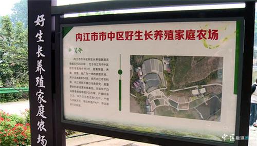 总产值9.28亿元！内江市市中区特色水产养殖“风生水起”