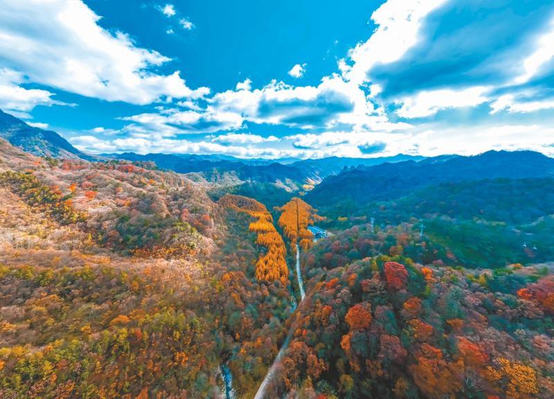 层林尽染山川美