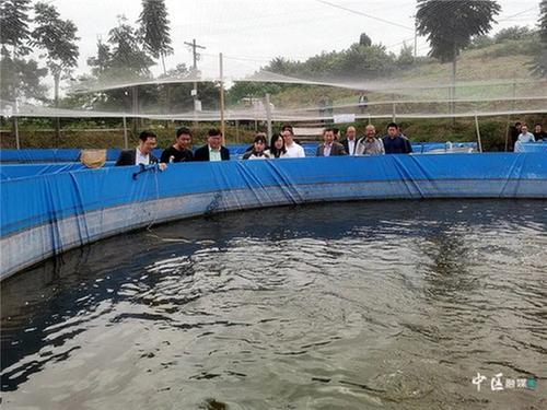 中国科学院院士桂建芳一行赴内江市市中区考察调研白乌鱼养殖推广情况