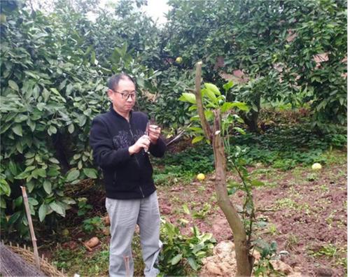 庆华镇三河村开展柑橘嫁接技术培训会