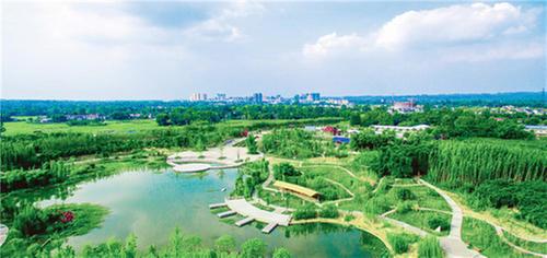 青神县：竹旅融合绽活力  乡村振兴展宏图