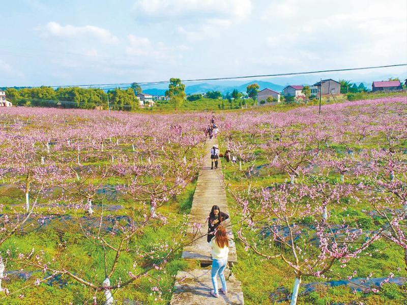 农业强 农村美 农民富