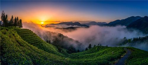 瓦屋山镇农文旅融合 绘就乡村振兴新图景