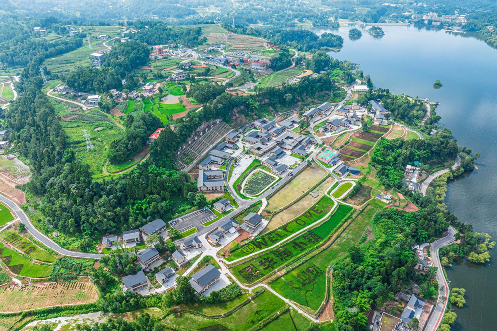 南江县：财政金融精准服务乡村振兴