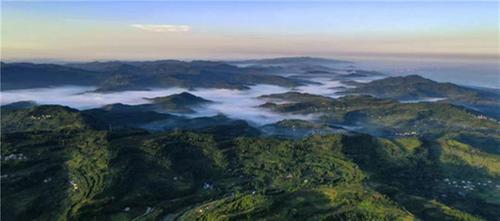 “人-林-产”联动 青白江区推进龙泉山生态价值转化