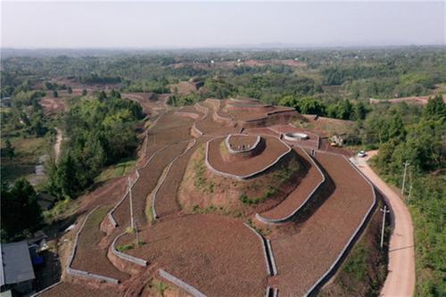 广安区：水土治理让荒山荒坡变粮仓