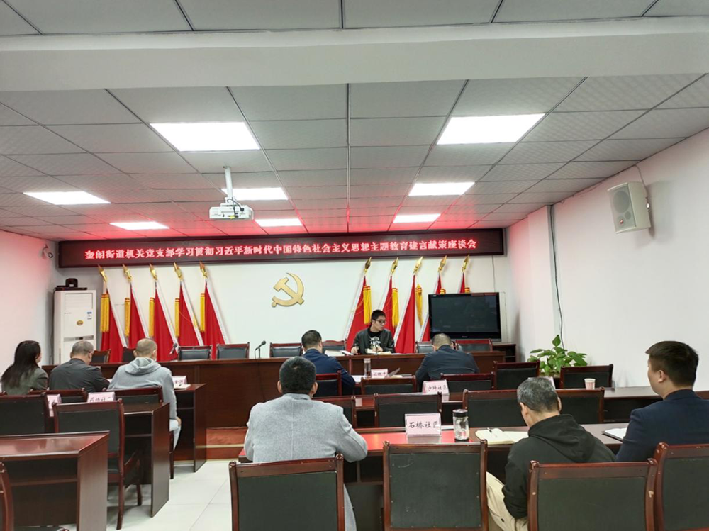 广安经开区奎阁街道机关党支部召开建言献策座谈会