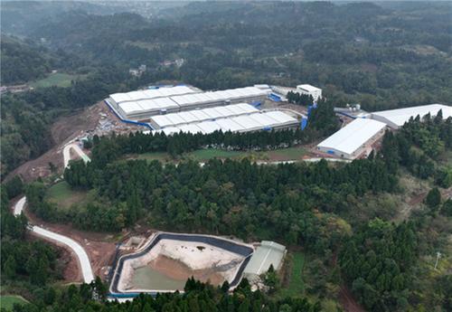 东兴区：种养循环项目按下“快进键”