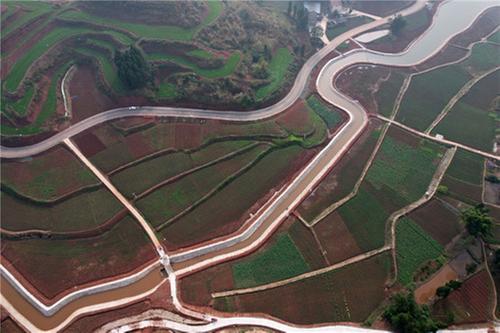内江市：“撂荒地”变“希望田”