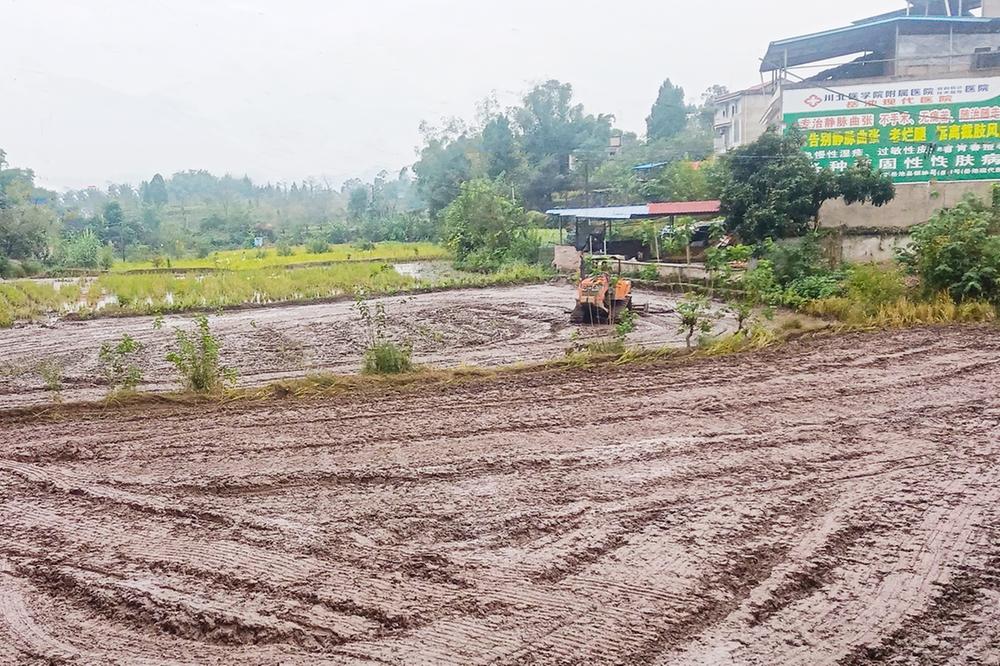 龙孔镇：田园耕地冬日美 来年春种早准备