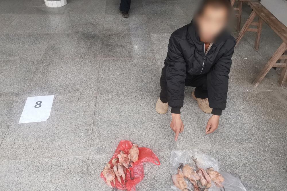 岳池县：男子诱捕竹鸡 被警方采取刑事强制措施