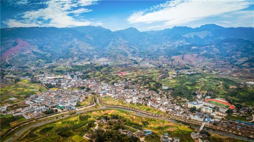丹棱县：百里碧波映青山 万亩粮田泛绿涛