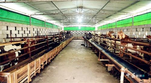 内江市市中区：培育家庭农场 激发乡村新活力