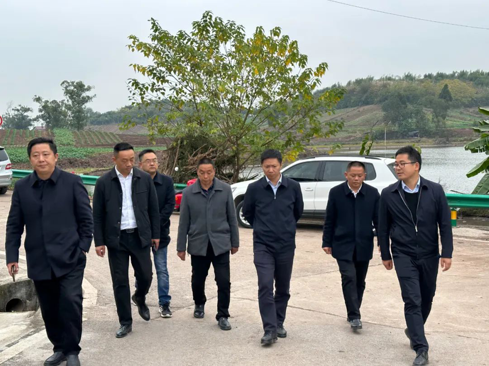 内江市市中区领导赴朝阳镇督导农村面貌改善及“清杂去乱”工作