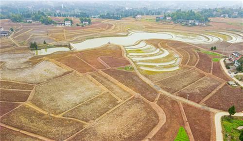 前锋区：加快高标准农田建设 提升农业生产综合能力