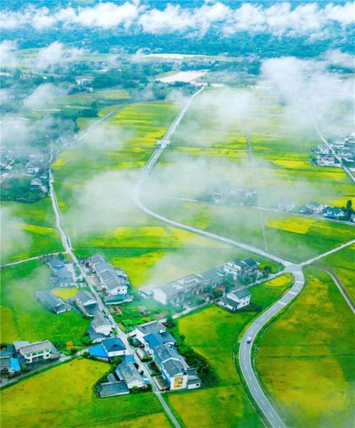 “产业洪雅”迸发高质量发展新活力