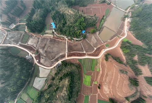 东兴区：建设“希望田” 夯实“天府粮仓”