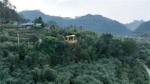 青神县：一竹一萤一群人 全面推进乡村振兴