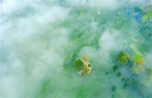 洪雅县：魅力乡镇 绘就乡村振兴新图景