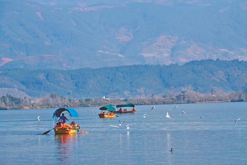 感受湿地与城市共生之美