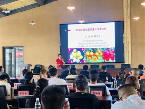 青神县：党建引领助振兴 良性机制擦亮“青神柑橘”招牌