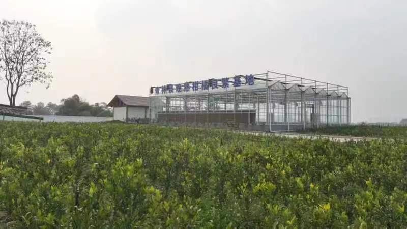 青神县：科技赋能下的“甜蜜事业”  