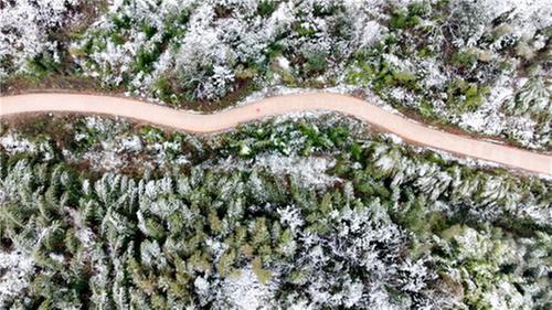 纳溪区：银装素裹美如画 冰雪引来八方客
