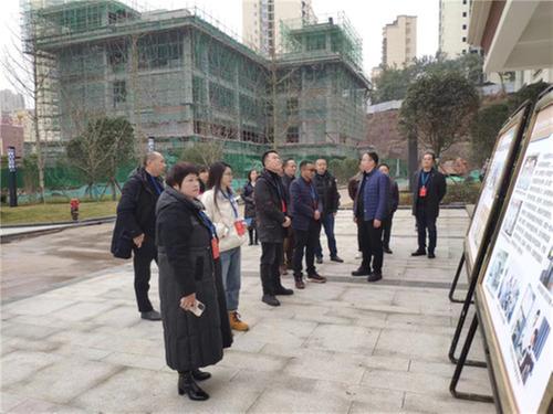 沿口镇人大：专项调研 助推城市建设高质量发展