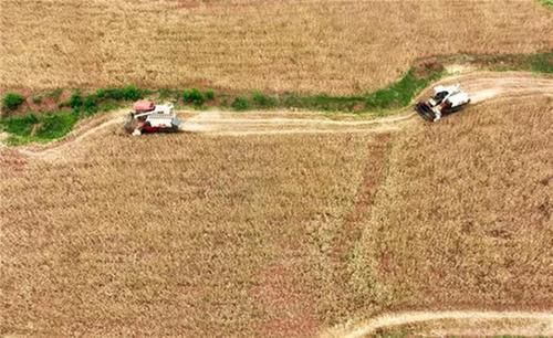 仁寿县：打造“五有”粮仓  绘就“粮”辰美景