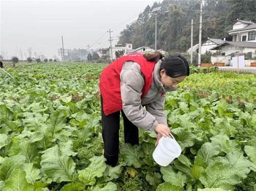 青神县：聚力助残惠民 助力乡村振兴