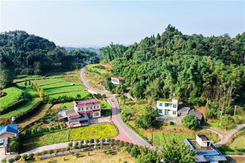 青神县：瞄准民生实事 解锁幸福密码