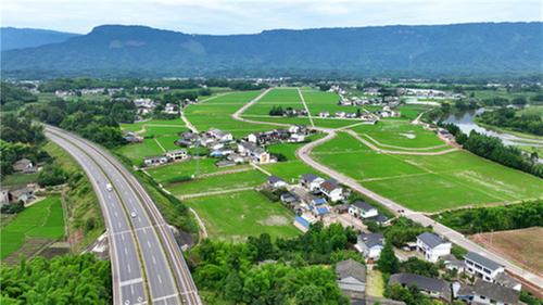 洪雅县被命名为2023年度四川省乡村振兴成效显著县