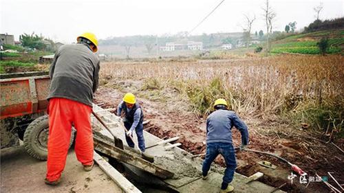 内江市市中区：“粮田”变“良田”育无限“良机”